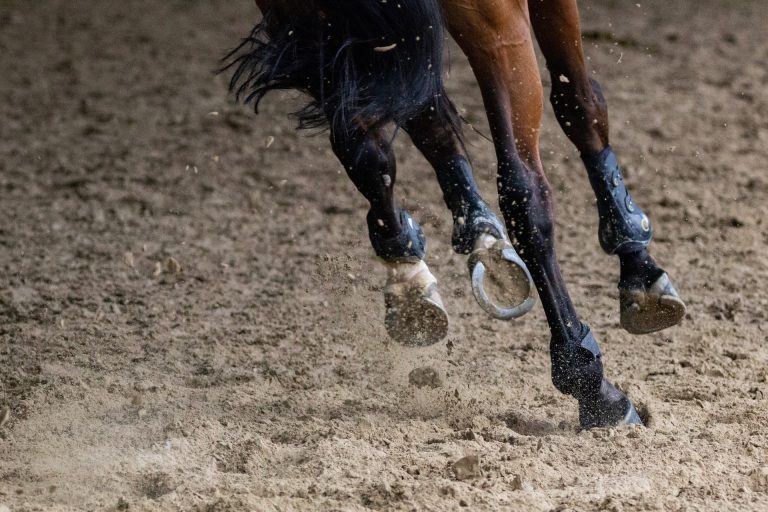 Wygodne oficerki jeździeckie – idealne buty dla jeźdźca